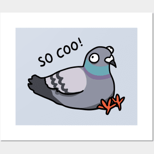 So coo pigeon Posters and Art